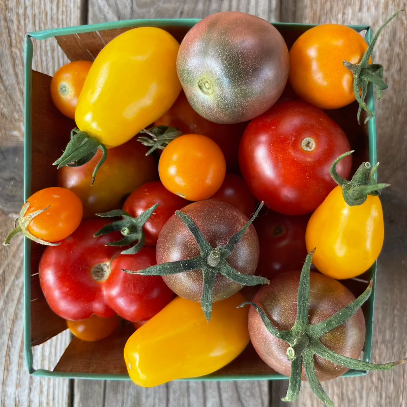 heirloom cherry tomato mix seeds