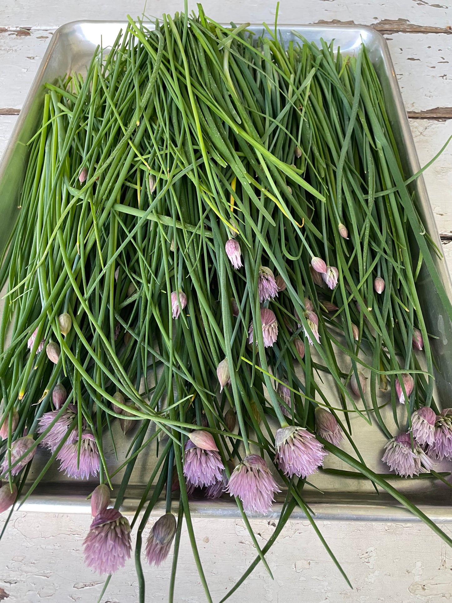 cut green chives with purple flowers on a baking sheet sitting on a white rustic table from new earth seeds