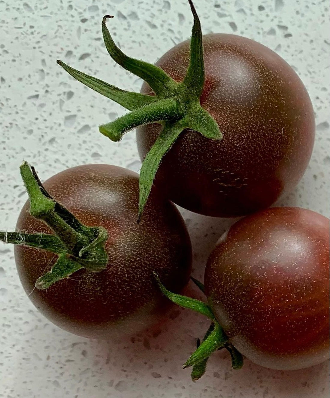 three black cherry tomatoes with spiky green stems on a countertop