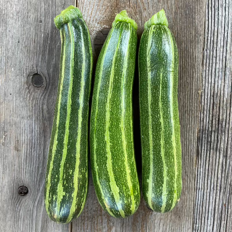 cocozelle summer zucchini seeds