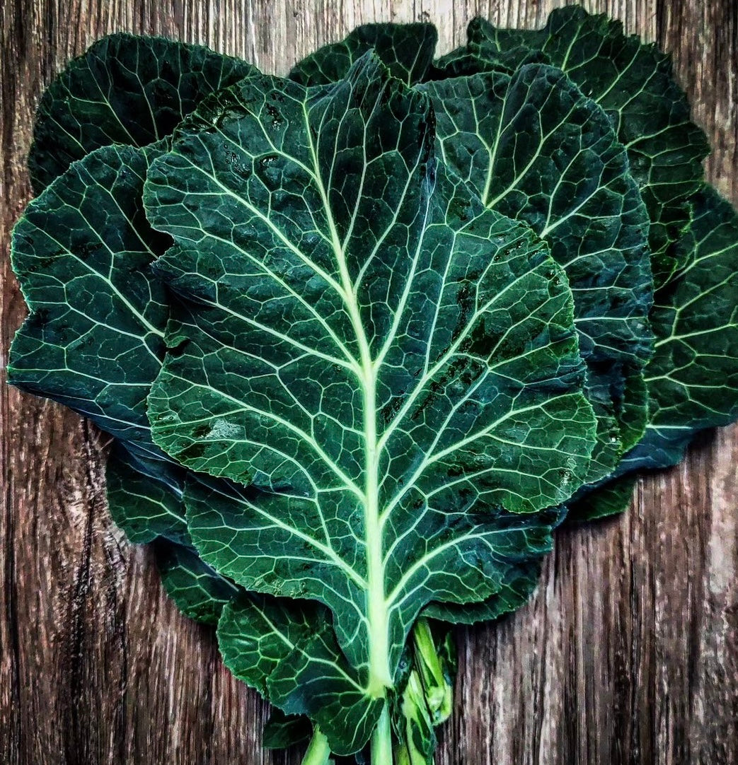 photo of Champion Collard Greens after harves on wooden table, dark green leaves with white veins