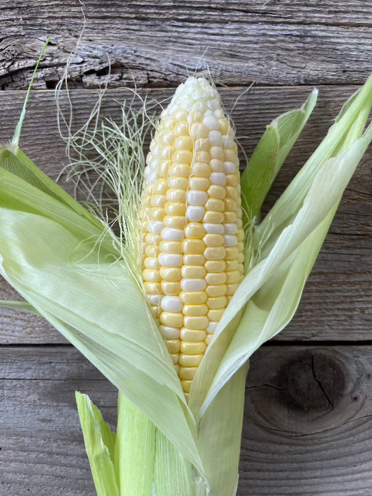 who gets kissed heirloom yellow and white corn cob in husk