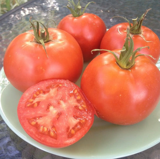 four cosmonaut volkov early beefsteak tomatoes on a light green plate with one sliced in half to show insides from new earth seeds