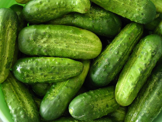 National Pickling Heirloom Cucumber Seeds