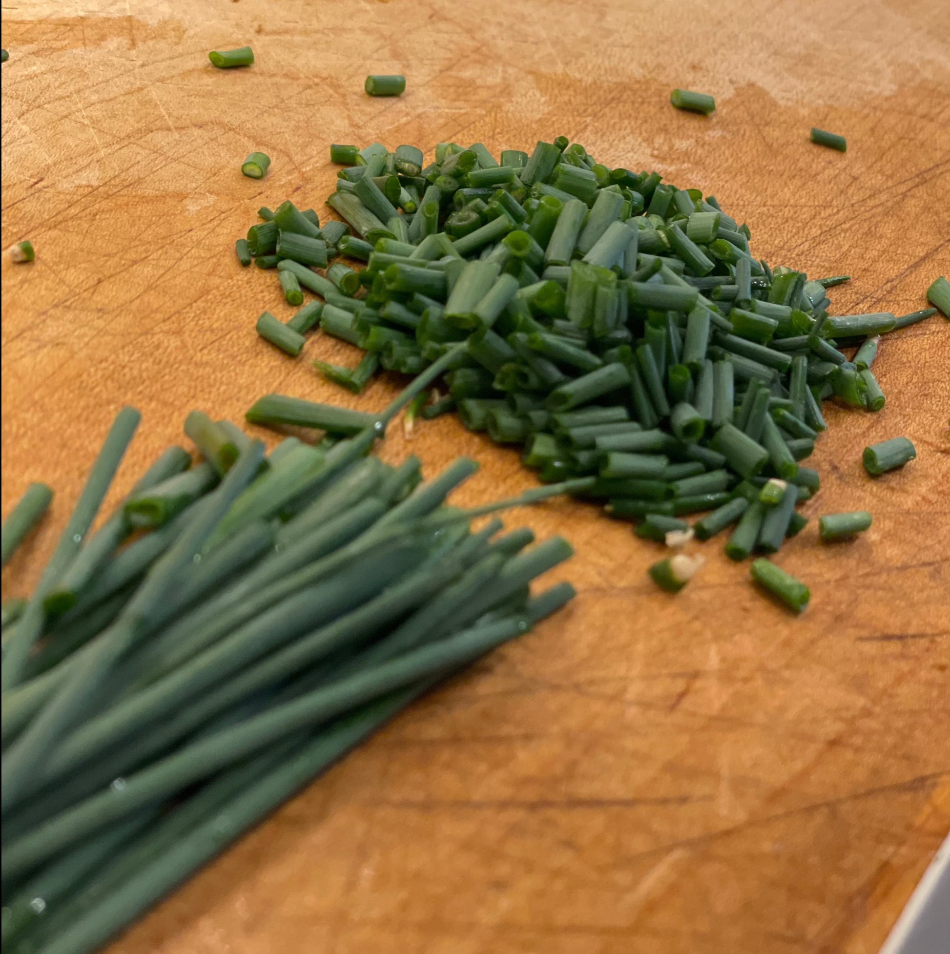 fresh cut green chives on cutting board from seeds