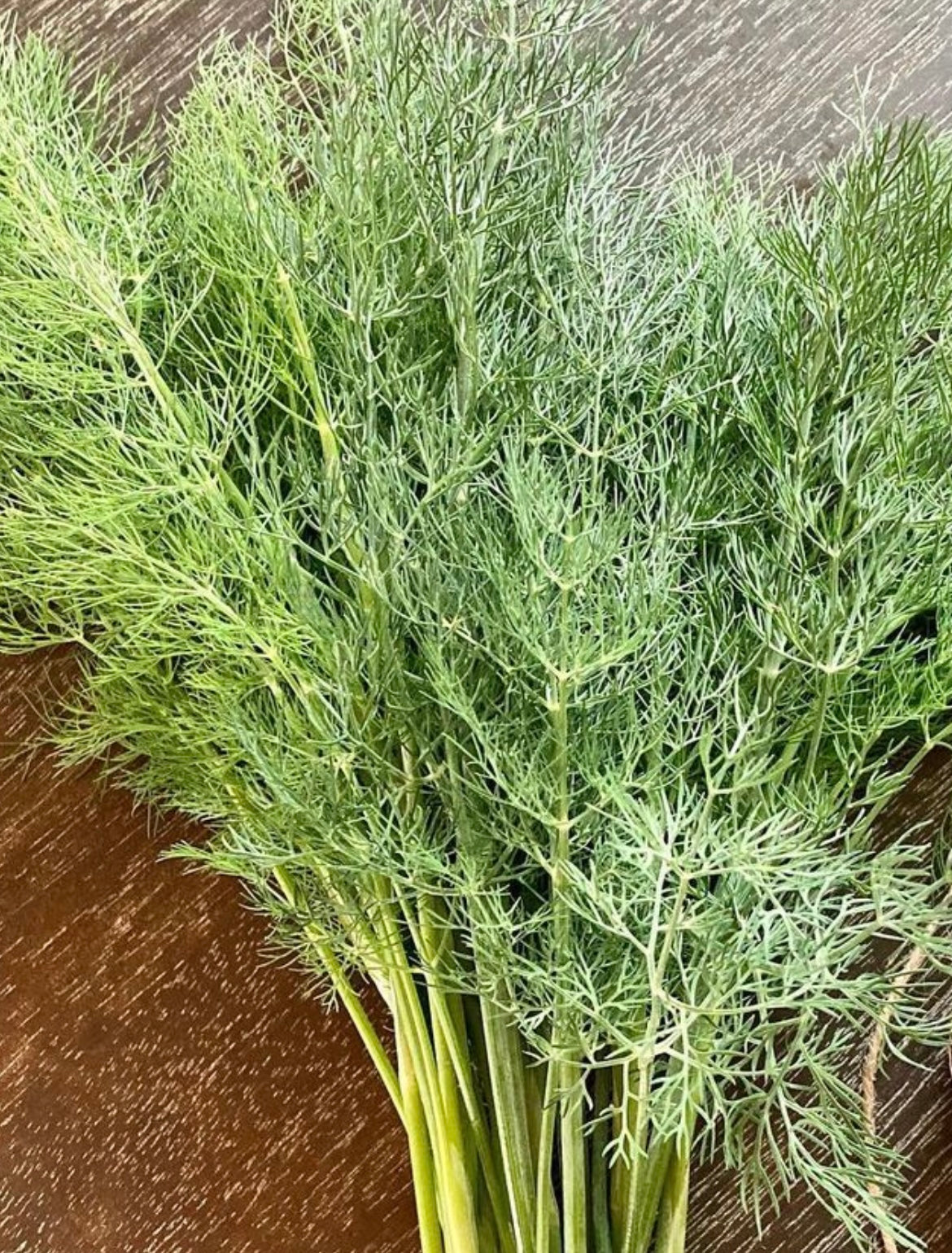 cut dill bouquet sitting on a wooden cutting board light green herb