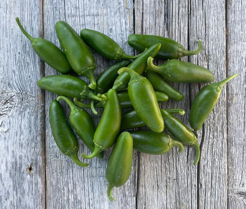 Early green jalapeno heirloom pepper seeds