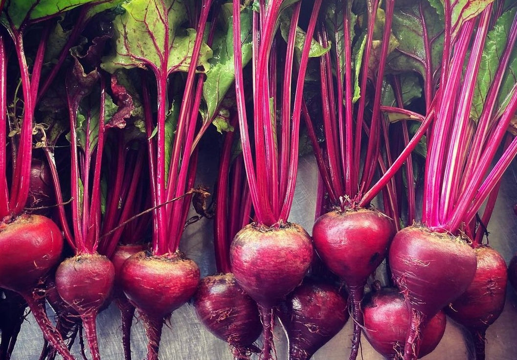 brliliant deep red beets with ling pink stocks and green leaves with red veins