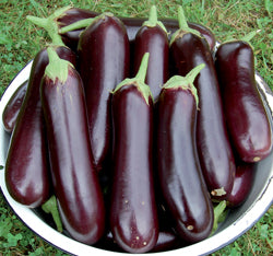 Long Purple Heirloom Eggplant Seeds