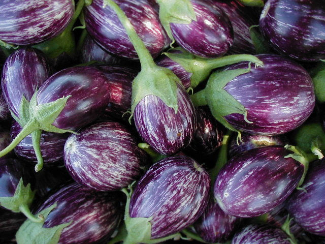 Listada de Gandia Heirloom Eggplant Seeds