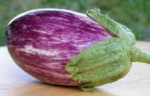 Listada de Gandia Heirloom Eggplant Seeds