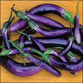 Long Purple Heirloom Eggplant Seeds