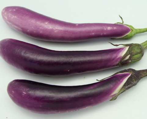 Long Purple Heirloom Eggplant Seeds