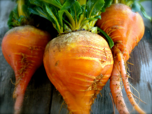 Golden Beet Seeds