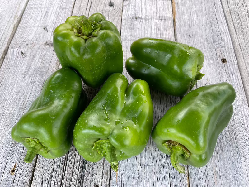 Cal Wonder Bell Pepper Seeds