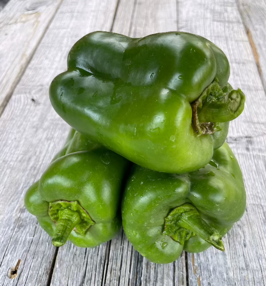 King of the North Bell Pepper Seeds