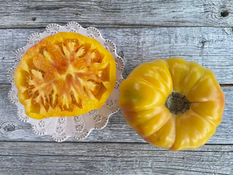 sliced hawaiian pineapple heirloom tomato seeds 