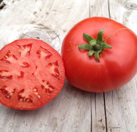 homestead tomato seed