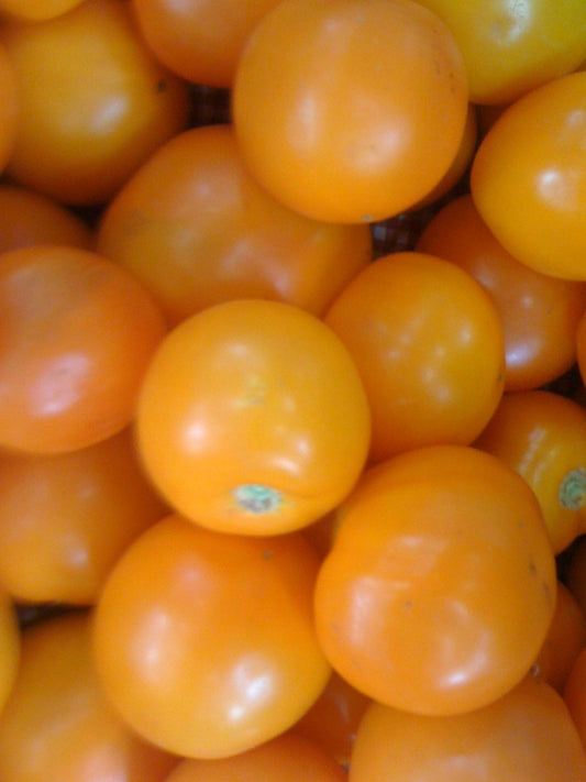 Honey Drop cherry tomato seeds