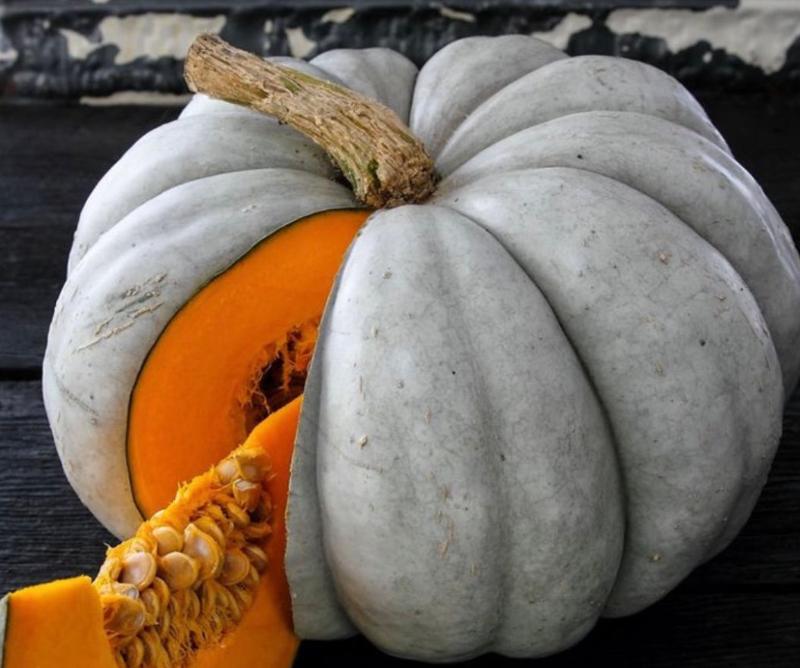 Jarrahdale Heirloom pumpkin seeds