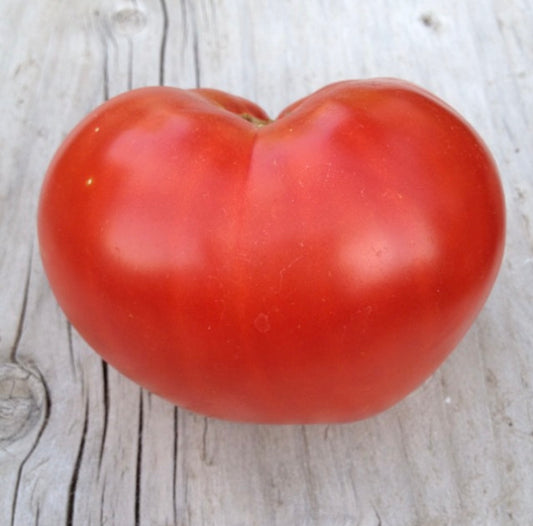 Rutger's Tomato