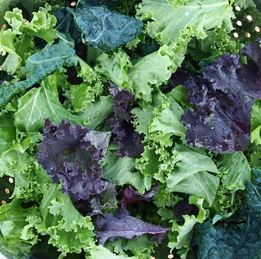 Kale Custom Mix Seeds