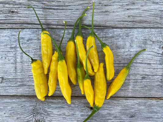 Lemon Aji Pepper