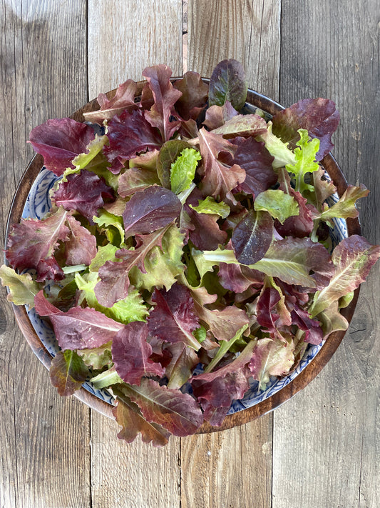 Ruby Reds Lettuce Mix