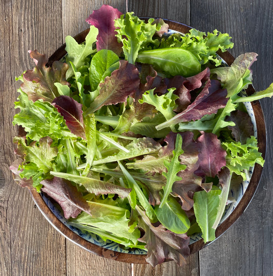 Grateful Gourmet Lettuce Mix