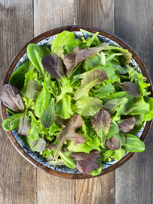 Heavenly Hardy Lettuce Mix