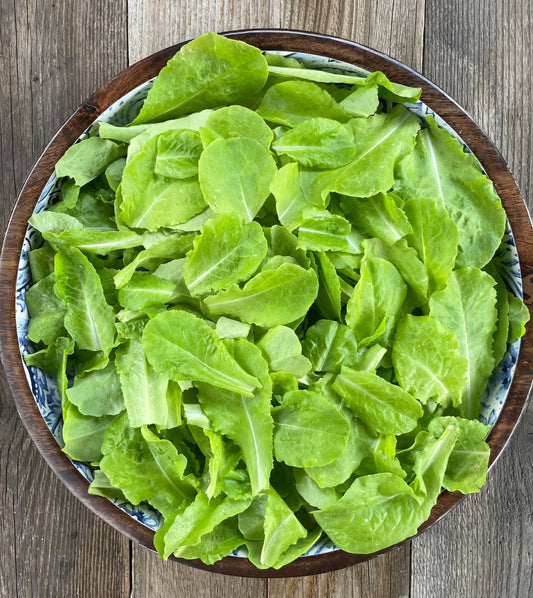 bowl of light green buttercrunch lettuce  on a vintage wooden table