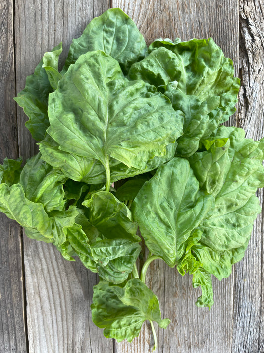 Lettuce Leaf Basil Seeds