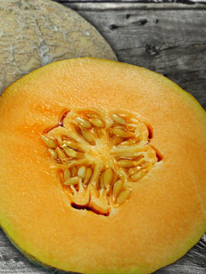 Hale's Best Cantaloupe seeds