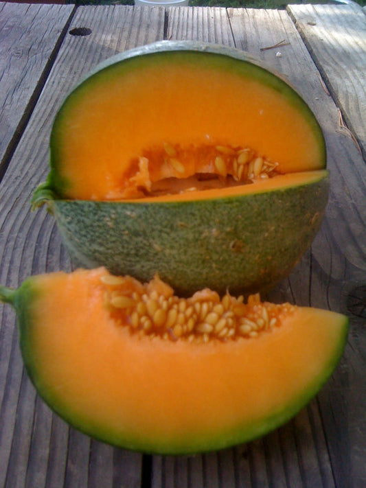 Hale's Best Cantaloupe seeds