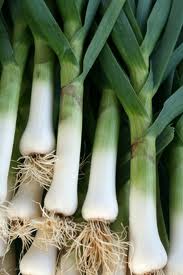 photo of american flag leeks with white bulbs with roots and green stocks