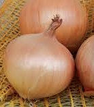 Valencia Onion