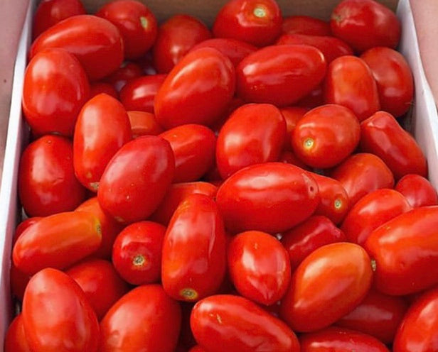 Hog Heart Paste Tomatoes seeds