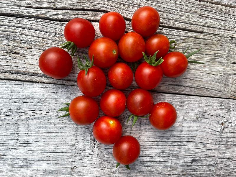 peacevne cherry heirloom tomato from seeds