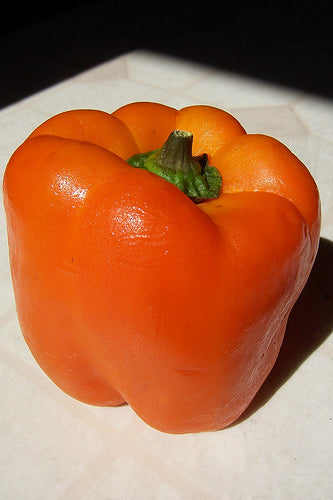 Orange Sun Sweet Bell Pepper Seeds