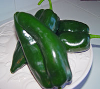 three ancho poblano peppers on a white plate produced from seeds