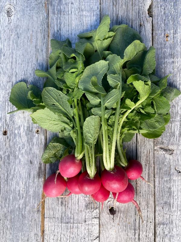 pink radish seedcs on wooden backdrop