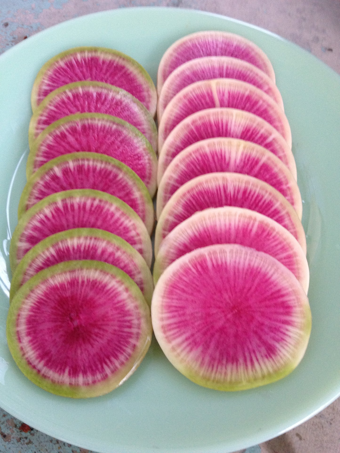 Watermelon Radish