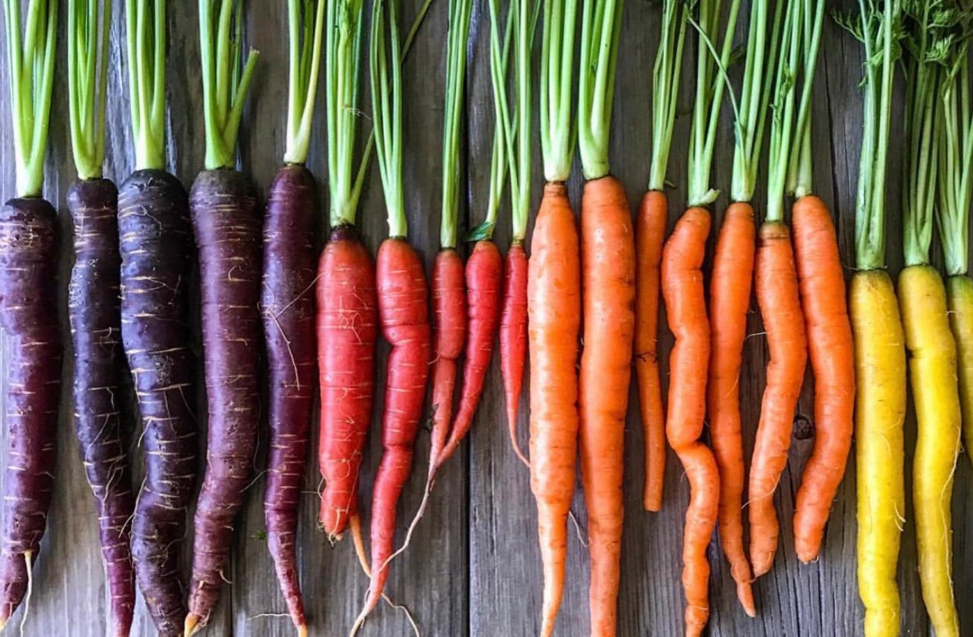 Rainbow Carrot Mix Seeds