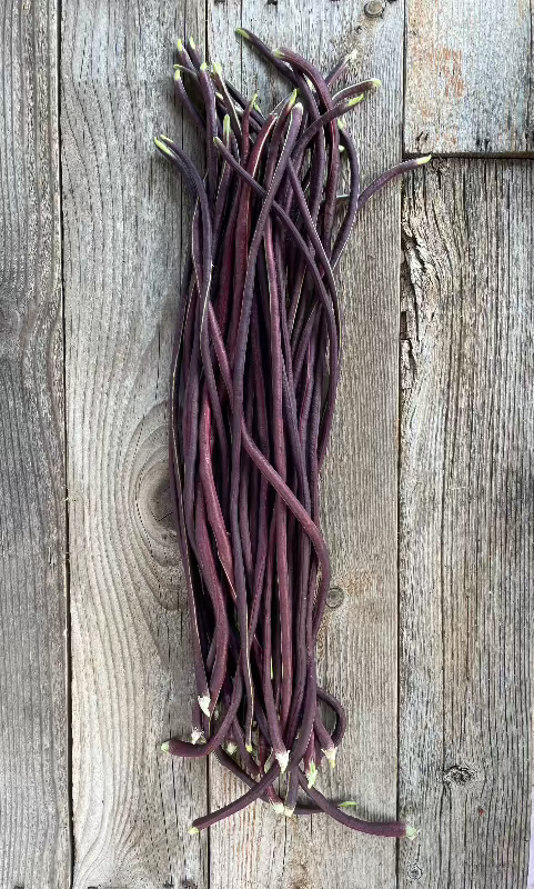 Red Noodle Heirloom Bean Seeds on table