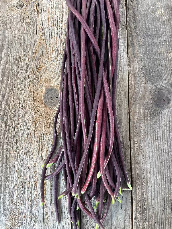 Red Noodle Heirloom Bean Seeds