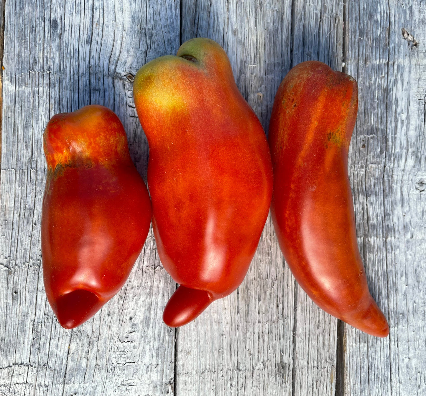 San Marzano Paste Tomato