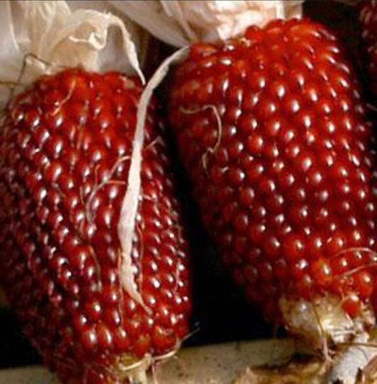 Strawberry Popcorn