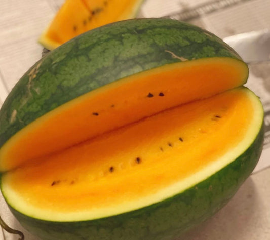 Tendersweet Orange Watermelon