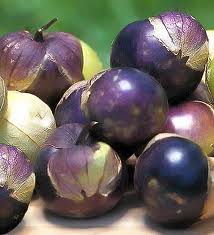 Purple Tomatillo Seeds