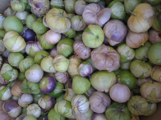 Tomatillo Verde